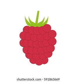 Raspberry Delicious fruit icon vector illustration graphic design