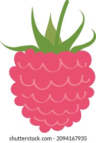 Raspberry - delicious sweet and aromatic berry, flat cartoon vector sketch. Icon symbol for for design packaging of baby food products.