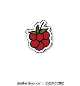raspberry doodle icon, vector illustration