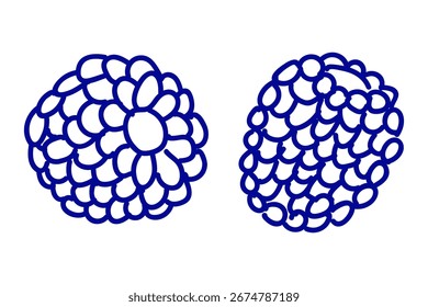 Raspberry in doodle style on white background. Summer berry illustration.