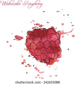 raspberry drawing by watercolor with paint stains, hand drawn vector illustration
