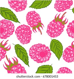 Raspberry drawn by hand in style sketching on white background