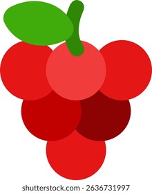 Raspberry flat icon design style