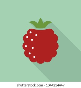 Raspberry flat icon with shadow. Vector Illustration