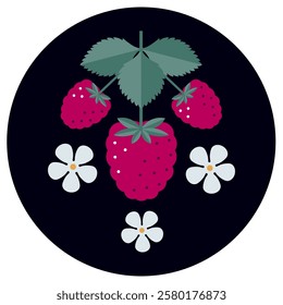 Raspberry flat illustration. Berries, flowers and leaves in black circle background.