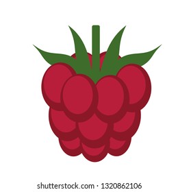 raspberry flat illustration. Food and drink, kitchen and cooking, fruit and vegetables series.
