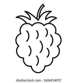 Raspberry food icon. Outline raspberry food vector icon for web design isolated on white background
