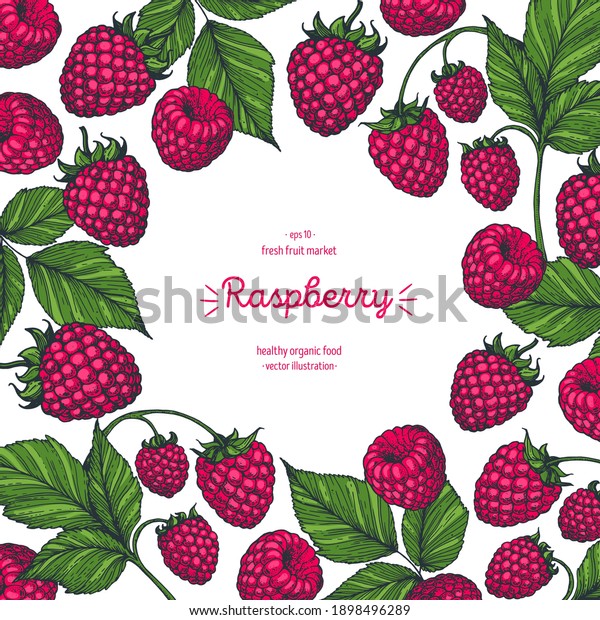 Raspberry frame, hand\
drawn vector illustration. Raspberries design template . Raspberry\
branch hand drawing