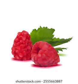 Raspberry. Fresh, sweet and tasty raspberry. Symbols of berries. Elements for label design. Vector illustration. Berries ingredients in mesh techniq