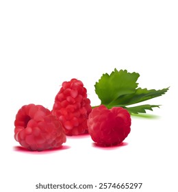 Raspberry. Fresh, sweet and tasty raspberry. Symbols of berries. Elements for label design. Vector illustration. Berries ingredients in mesh techniq