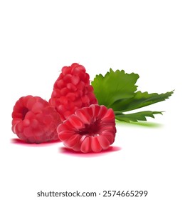 Raspberry. Fresh, sweet and tasty raspberry. Symbols of berries. Elements for label design. Vector illustration. Berries ingredients in mesh techniq