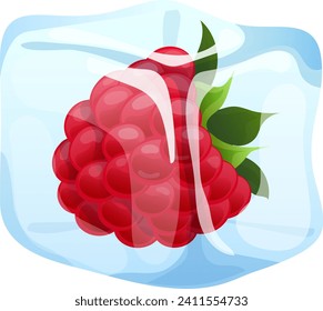 Raspberry frozen in transparent ice block, concept realistic delicious iced berry food icon cartoon vector illustration, isolated on white. Sweetness fresh fruit foodstuff, natural organic.