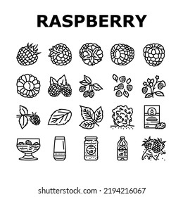 raspberry fruit berry red food icons set vector. plant leaf, sweet fresh dessert, juice branch, single delicious garden nature jam raspberry fruit berry red food black contour illustrations