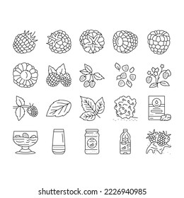 raspberry fruit berry red food icons set vector. plant leaf, sweet fresh dessert, juice branch, single delicious garden nature jam raspberry fruit berry red food black contour illustrations