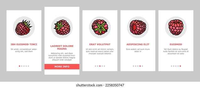 raspberry fruit berry red food onboarding mobile vector. plant leaf, sweet fresh dessert, juice branch, single delicious garden nature jam raspberry fruit berry red food color line illustrations