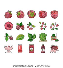 raspberry fruit berry red food icons set vector. plant leaf, sweet fresh dessert, juice branch, single delicious garden nature jam raspberry fruit berry red food color line illustrations