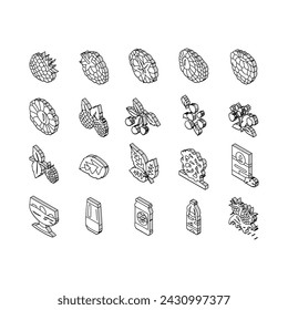 raspberry fruit berry red food isometric icons set. plant leaf, sweet fresh dessert, juice branch, single delicious garden nature jam raspberry fruit berry red food color line