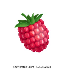 Raspberry Fruit berry vector illustration in cartoon style. Healthy nutrition, organic food, vegetarian product.