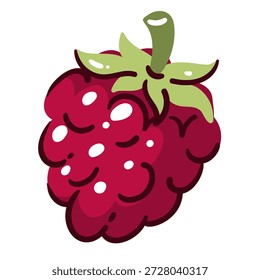 Himbeerfrucht mit geklügelten saftigen Trommelfellen und grünem Stängel, reife Himbeerbeere mit abgerundeten Formen und kräftigem Umriss. Frische saisonale Fruchtelemente für Menü, Verpackung, Lebensmittelmarken und gesunde Lebensmittel. Cartoon, Vektorgrafik.