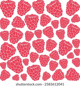 Raspberry Fruit Color Background. Vector illustration.