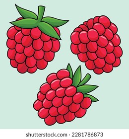 Raspberry Fruit Colored Cartoon Illustration