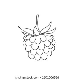 Raspberry fruit in continuous line art drawing style. Minimalist black linear sketch on white background. Vector illustration