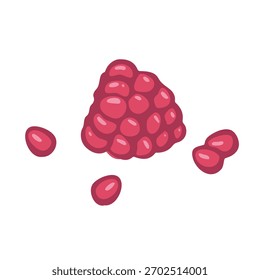 Raspberry fruit cosmetic ingredient vector illustration