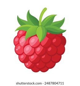 Raspberry fruit flat vector illustration on white background.