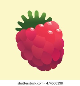 Raspberry Fruit Flat Vector Illustration