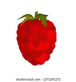 Raspberry fruit food vector icon isolated. Red berry sweet nature. Organic plant ingredient symbol. Garden farm flat sign