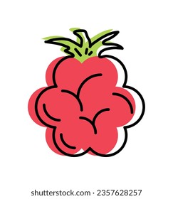 raspberry fruit fresh icon isolated