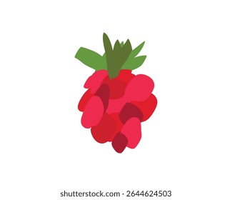 Raspberry Fruit Graphic Design Element