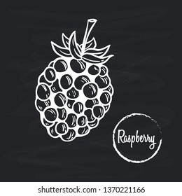 Raspberry fruit hand drawn illustration on black background