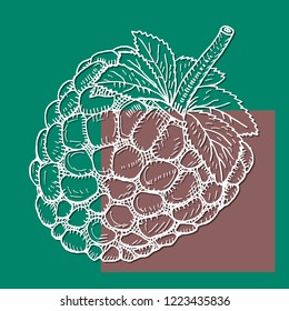 Raspberry fruit icon collection - vector outline and silhouette