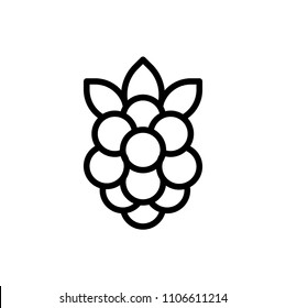 Raspberry Fruit Icon Outline