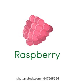 Raspberry fruit icon. Vector illustration isolated on white background eps10