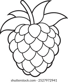Imagem de fruta de framboesa Ilustração Arte 