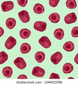 raspberry fruit pattern background. Hand drawn vector elements.