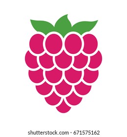 Raspberry fruit or raspberries flat color vector icon for food apps and websites