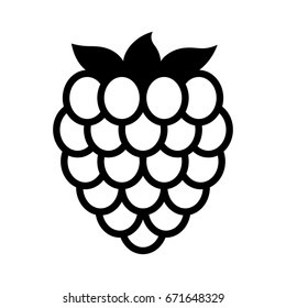 Raspberry fruit or raspberries line art vector icon for food apps and websites