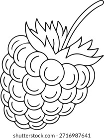 Framboesa de frutas silhueta vetor ilustração para livro de coloração 