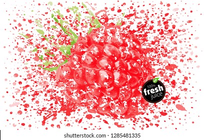 Raspberry fruit in a splash of juice. Spray of taste and freshness. Blast of fresh berry drink. EPS vector illustration