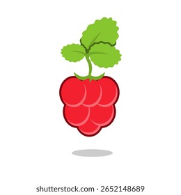 raspberry fruit vector design on white background