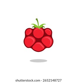 raspberry fruit vector design on white background