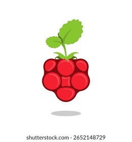 raspberry fruit vector design on white background