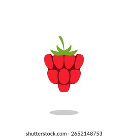 raspberry fruit vector design on white background