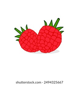 Raspberry fruit vector design simple illustration. Food icon, drink logo, fruit sticker. dish dessert icons. delicious rasberry. beautiful graphic designs new version. rasberi vectors latest version