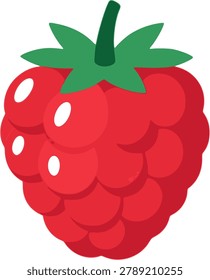 Raspberry fruit vector illustration isolated on white background.