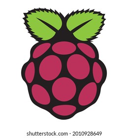 Raspberry Fruit Vector illustration on a white background