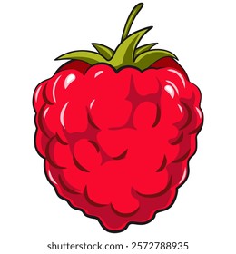 raspberry fruit vektor illustration, work of hand drawn